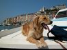 Foto di Derrik al mare!