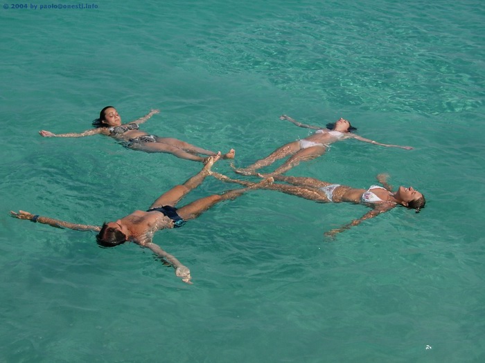 Clicca ora su questa immagine per caricare la foto successiva!