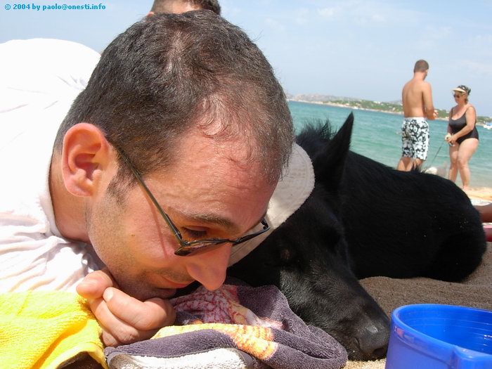 Clicca ora su questa immagine per caricare la foto successiva!
